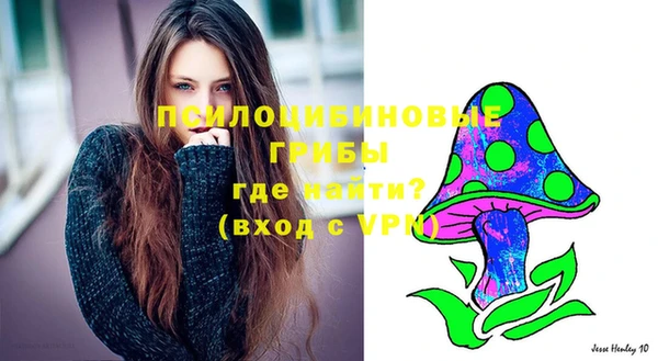a pvp Алзамай